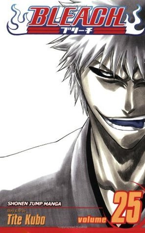 Bleach Vol 25