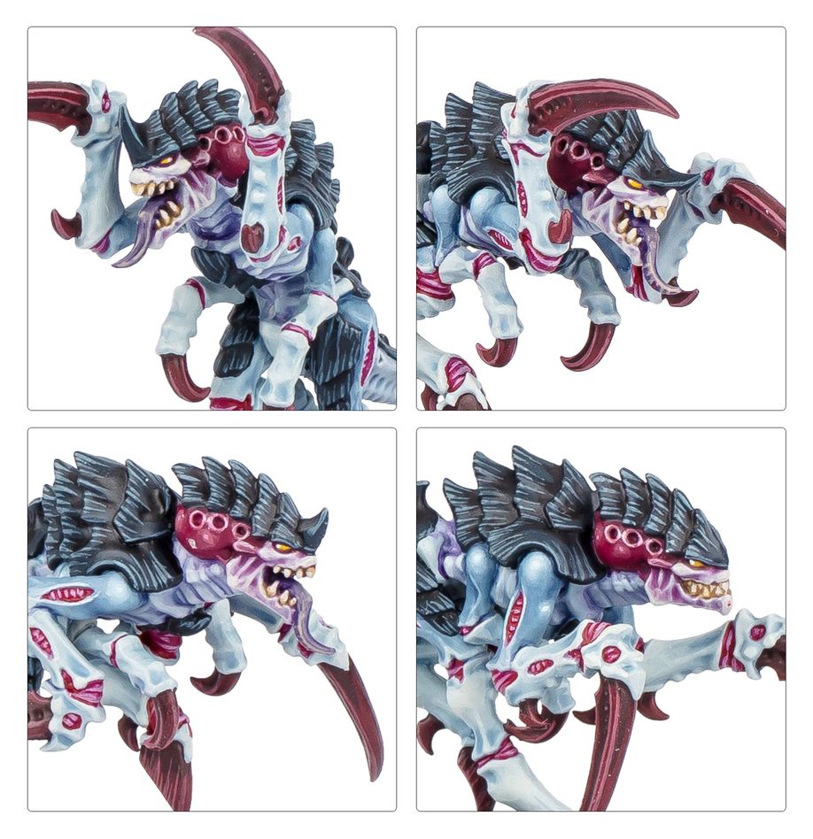 Warhammer 40,000 Kill Team: Typhon