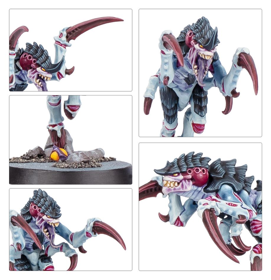 Warhammer 40,000 Kill Team: Typhon