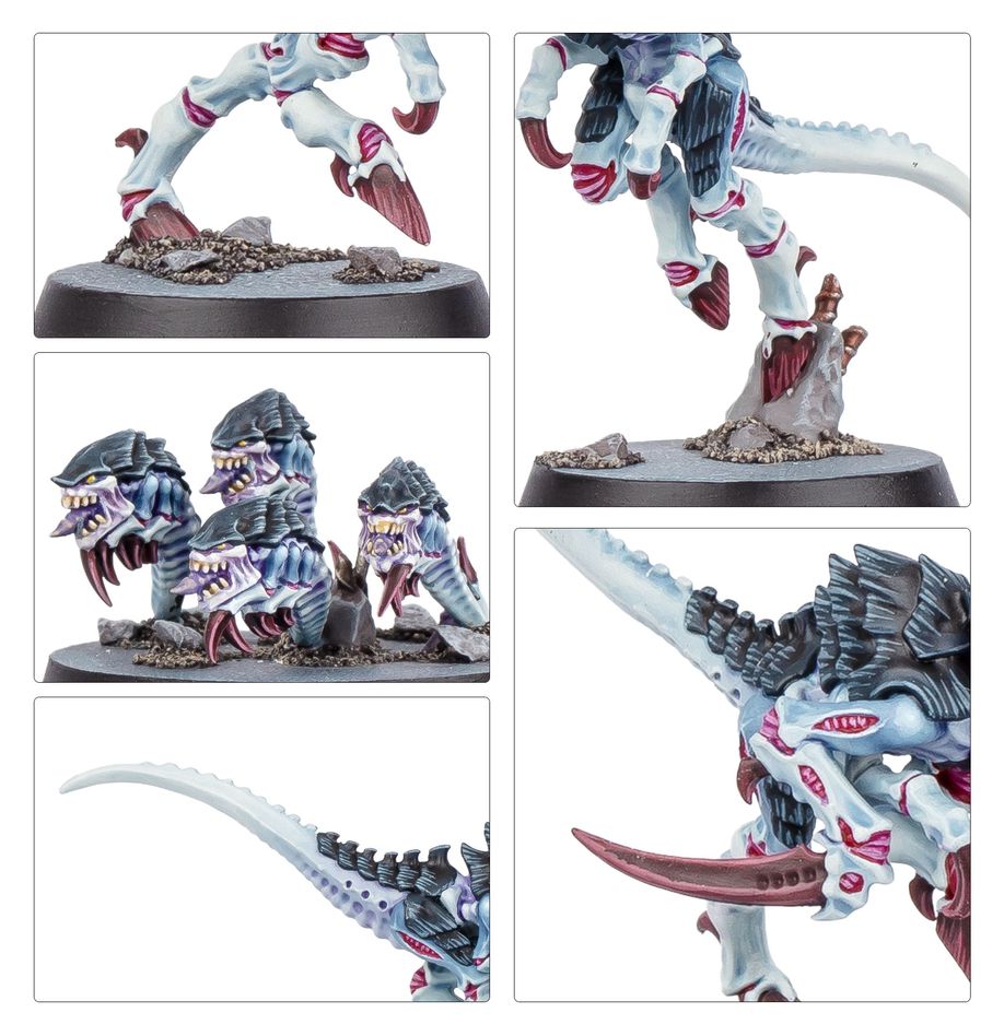 Warhammer 40,000 Kill Team: Typhon
