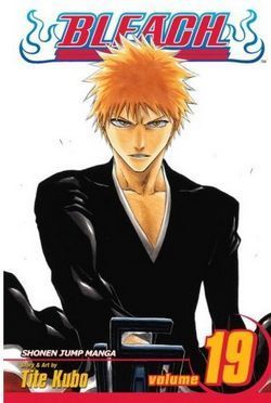 Bleach Vol 19 (Library)