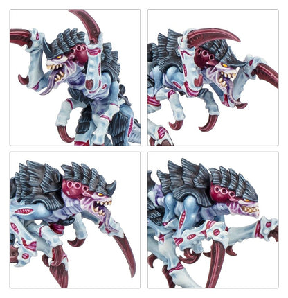 Warhammer 40,000 Kill Team: Typhon