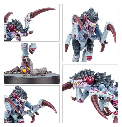 Warhammer 40,000 Kill Team: Typhon