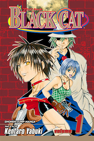 Black Cat Vol 01