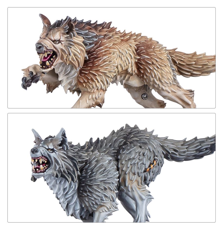 Warhammer 40,000 Space Wolves: Wolf Guard Headtakers