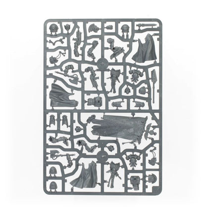 Warhammer 40,000 Victrix Honour Guard