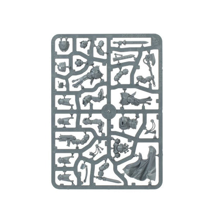 Warhammer 40,000 Victrix Honour Guard