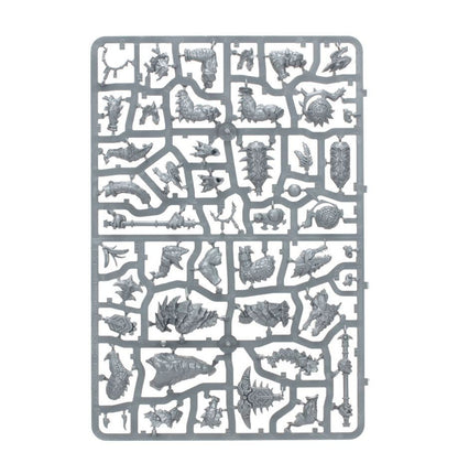Warhammer Age of Sigmar Spearhead: Seraphon